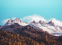 体育App下载-LPL赛事官方：Bin国际赛事招牌英雄胜率