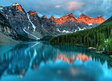 体育App下载-LPL赛事官方：Bin国际赛事招牌英雄胜率